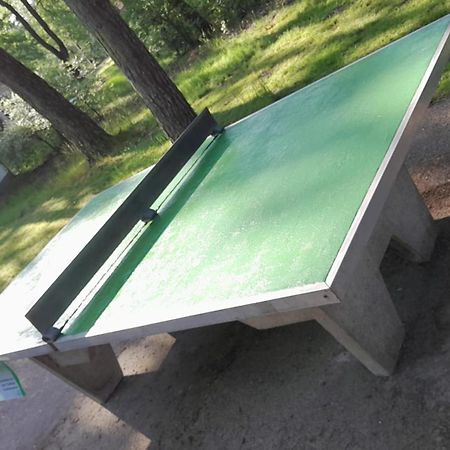 Bungalow, Vrijstaand, Het Vosseven Nr 38 Stramproy Kültér fotó