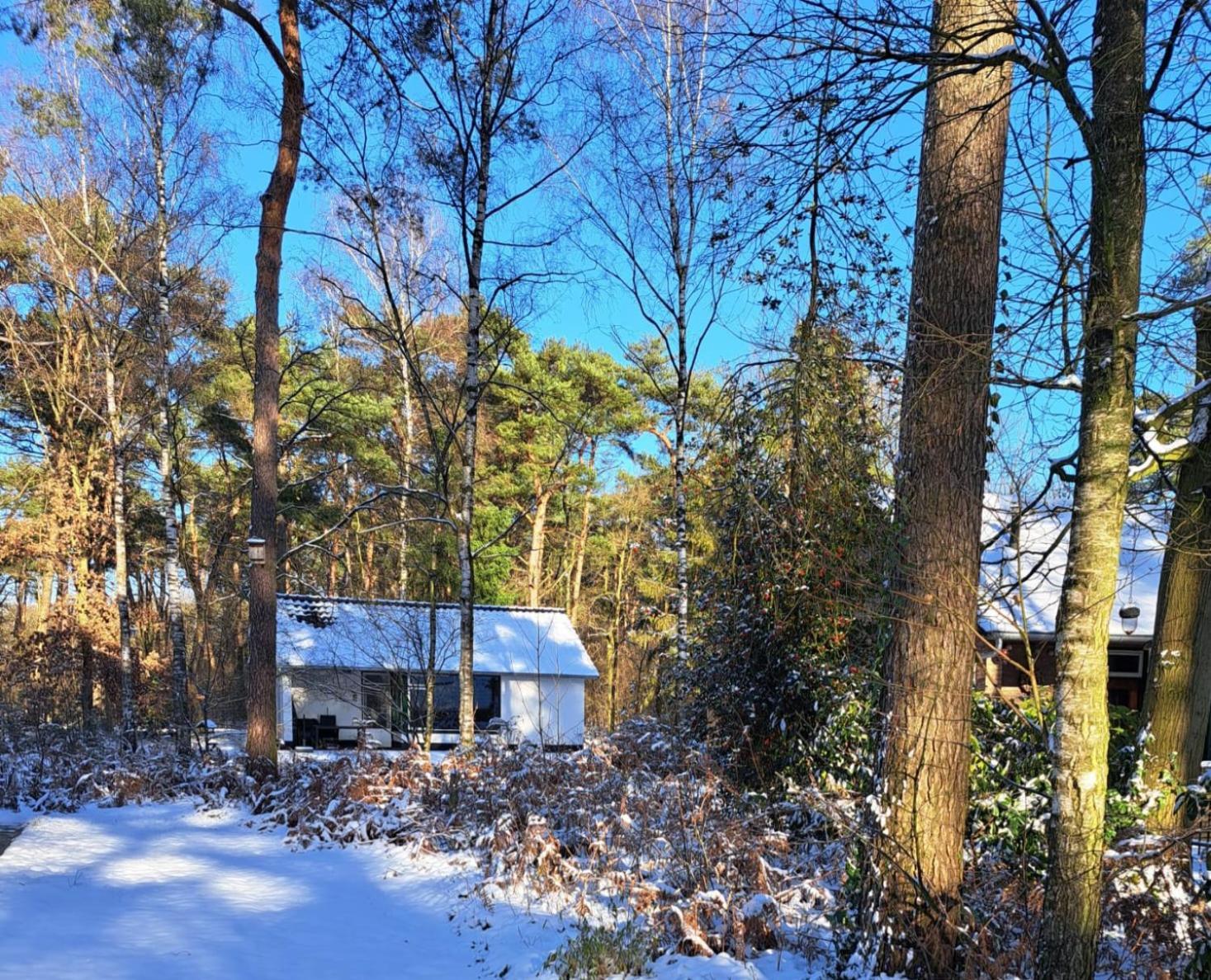 Bungalow, Vrijstaand, Het Vosseven Nr 38 Stramproy Kültér fotó